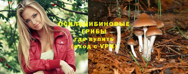 Альфа ПВП Зерноград