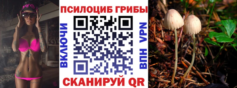 Псилоцибиновые грибы Cubensis  купить  цена  Кимовск 